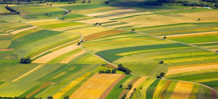 Orchard & Agriculture